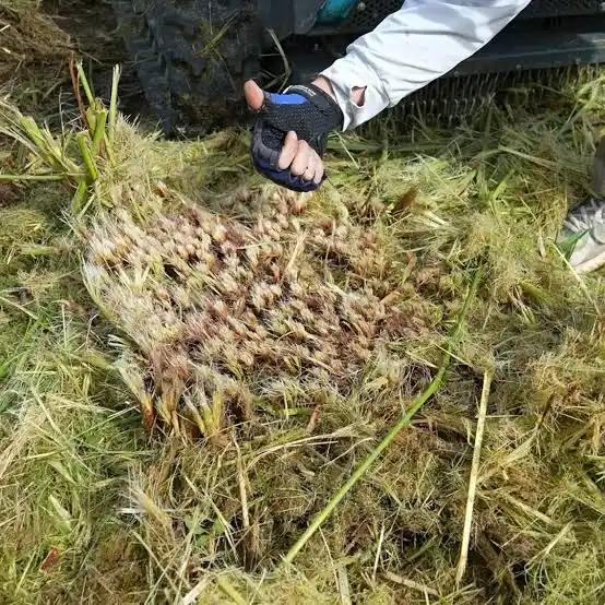 Foto enviada por Nonô Fogaça mostrando o Fortrak Elite